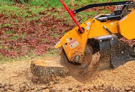 Best Lawn Drainage Solutions  in Shamrock, TX